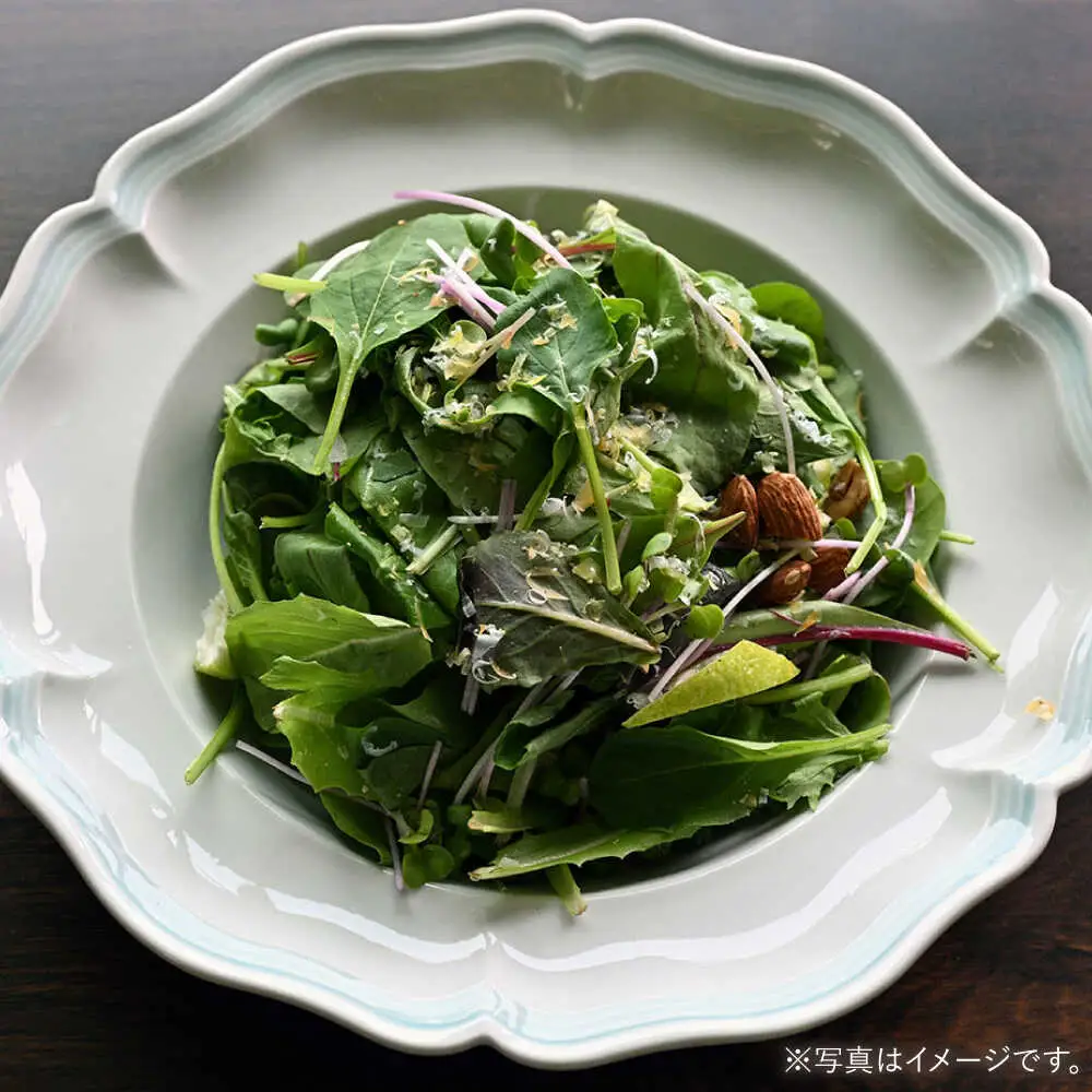 【波佐見焼】ombre de fleur ボウルL melodie green 2枚セット【翔芳窯】[FE549]