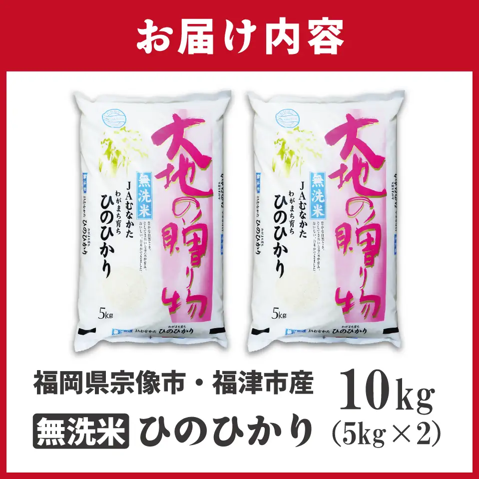 【令和7年産】わがまち育ち 無洗米 ひのひかり 10kg_HA1961 米 白米