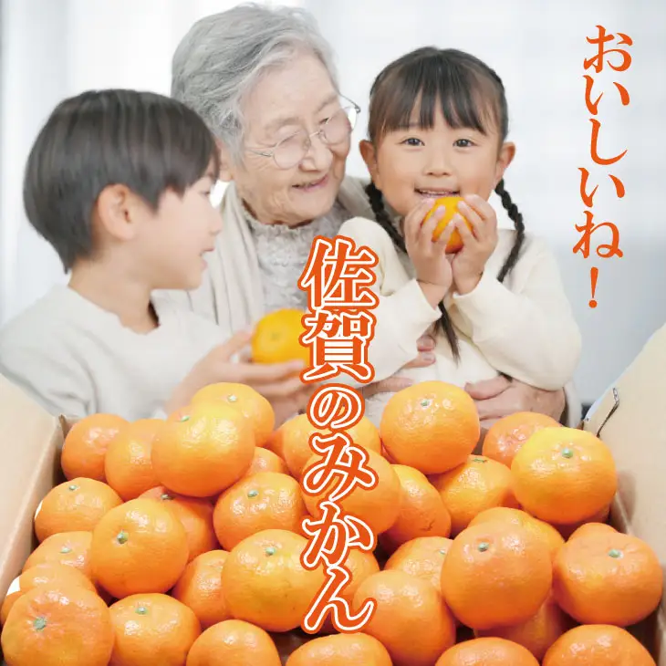 【先行予約】 佐賀県産 みかん（5kg）　潮風ファーム 大津 柑橘 温州みかん  B140-073