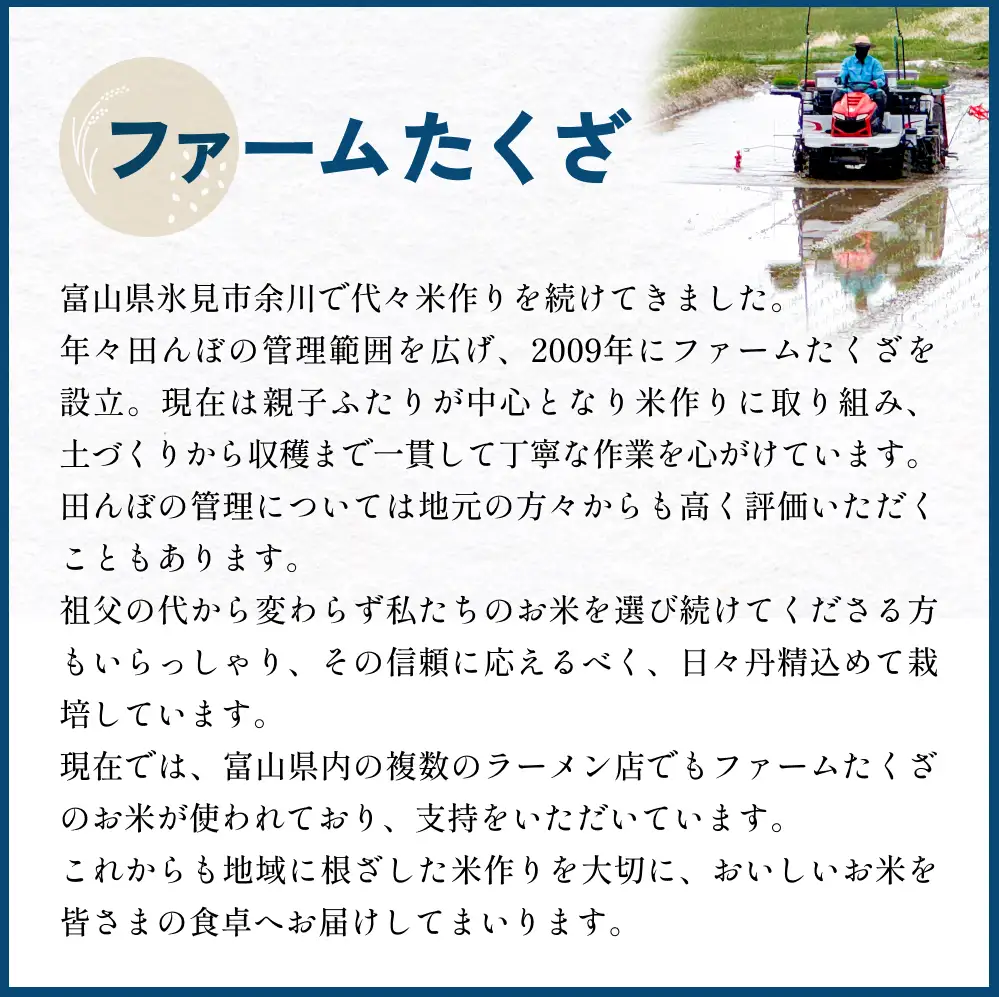 【3回定期便】富山県産 コシヒカリ 10kg 富山県 氷見市 米 コシヒカリ 定期便