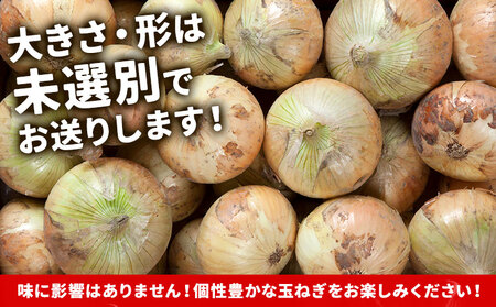 北海道名寄産 玉ねぎ 10kg 秀品 たまねぎ　Mサイズ
