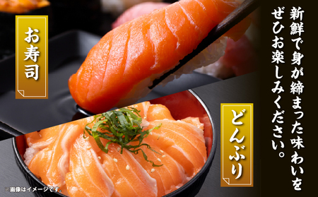 北海桜サーモン 半身 2枚 2~2.5kg 新鮮 刺身 冷蔵 陸上養殖 生食可 桜色 トラウト サーモン 鮭 生鮭 サケ さけ 国産 北海道産 道産 松前産 産地直送 お取り寄せ 海鮮 鮮魚 魚介 活〆 グルメ 北海道 松前町 送料無料 MATP002