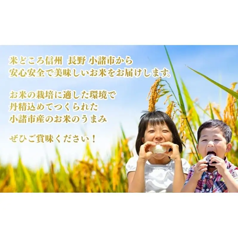 お米マイスターおすすめ小諸米 精米5kg 3ヶ月定期便