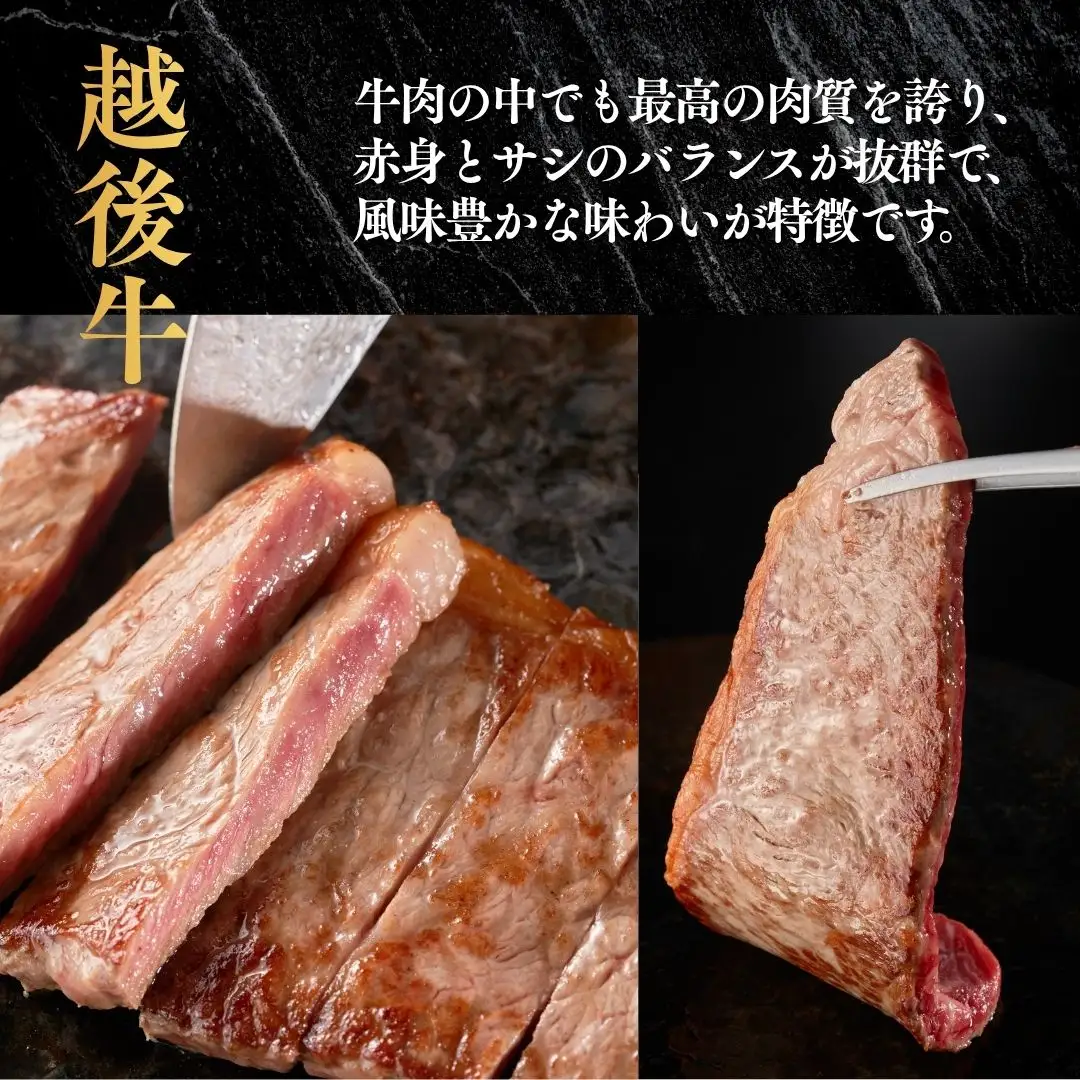 越後牛 ロースステーキ 400g(200グラム×2) 冷凍 三国 | 小千谷 新潟県産 ロースステーキ 越後牛