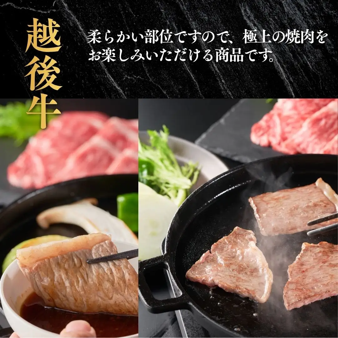 越後牛 ロース焼肉 計400g(200グラム×2) 冷凍 三国 | 越後牛 小千谷 新潟県産 ロース 焼肉