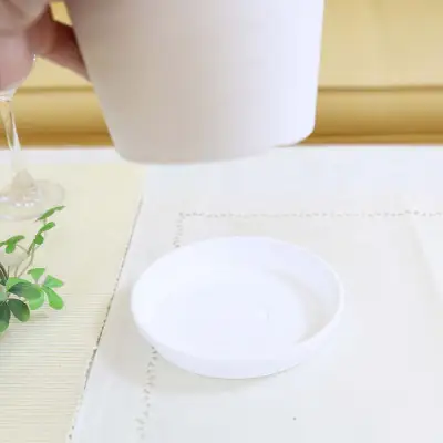 【観葉植物】サンスベリア 5号 ホワイト丸プラスチック鉢 土の表面:ウッドチップ【観葉植物 インテリア 部屋 おしゃれ 福岡県 筑前町 送料無料 AG056】