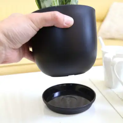 【観葉植物】サンスベリア 5号 ブラック丸プラスチック鉢（Bowl）土の表面:ウッドチップ【観葉植物 インテリア 部屋 おしゃれ 福岡県 筑前町 送料無料 AG058】