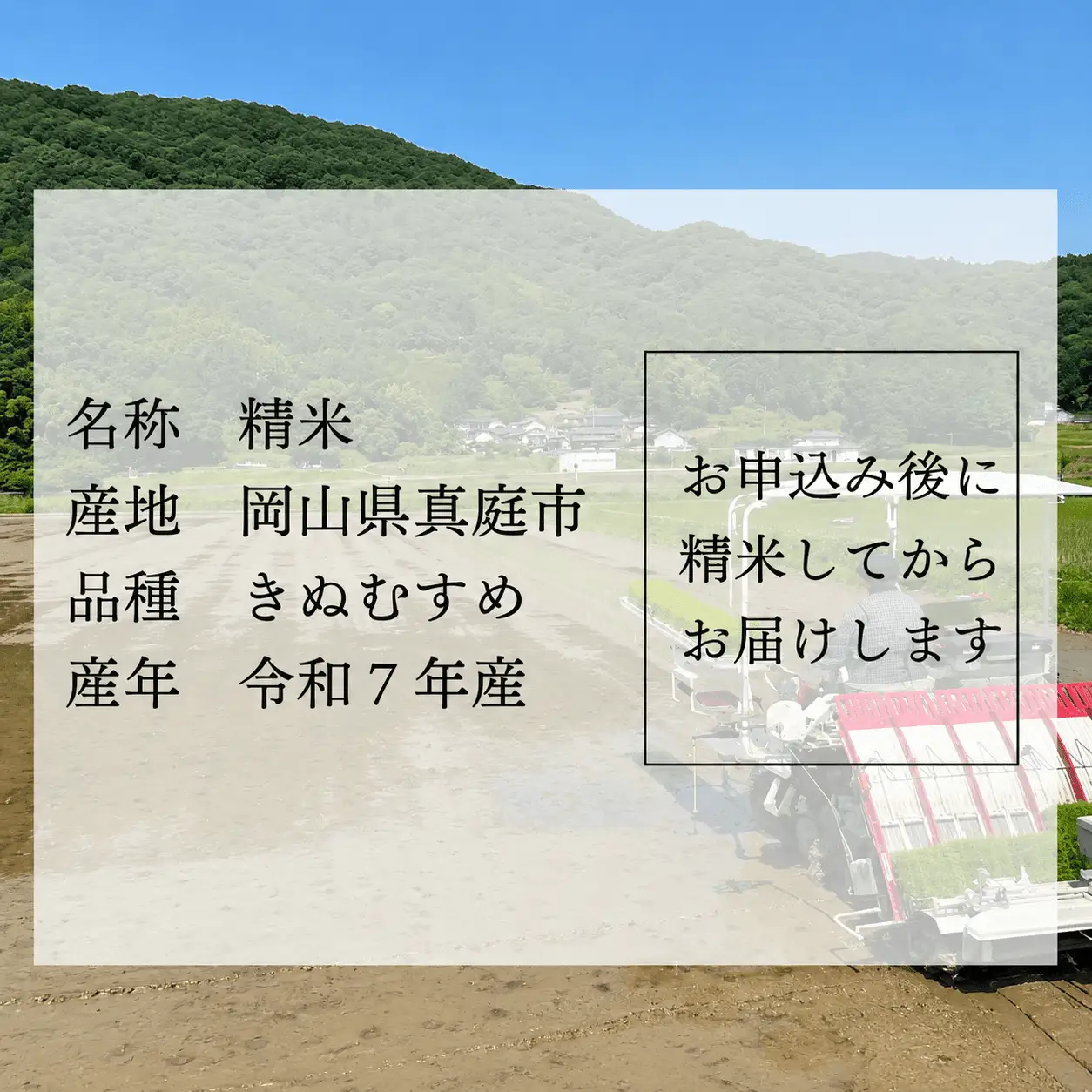 米 精米 令和8年産 岡山ほたる米 きぬむすめ 精米10kg (岡山県真庭産) 【KF-R004-02】