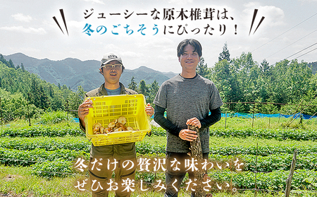 ＜冬季限定 原木生しいたけ 優品 約1kg＞ 20個前後 原木生椎茸 しいたけ シイタケ きのこ 優品 バーベキュー BBQ すき焼き しゃぶしゃぶ 料理 国産 愛媛県産 横林自治振興協議会 愛媛県 西予市【冷蔵】『11月中旬～3月上旬に順次出荷予定』NYJ0008