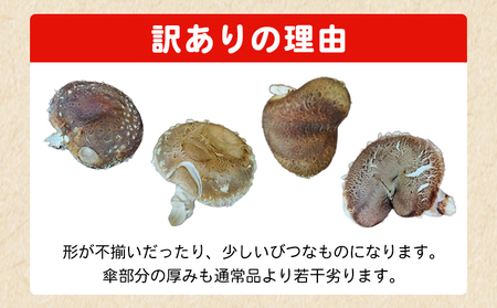 ＜冬季限定 原木生しいたけ 訳あり 約1kg＞ 20個前後 原木生椎茸 しいたけ シイタケ きのこ 家庭用 バーベキュー BBQ すき焼き しゃぶしゃぶ 料理 国産 愛媛県産 横林自治振興協議会 愛媛県 西予市【冷蔵】『11月中旬～3月上旬に順次出荷予定』NYJ0009