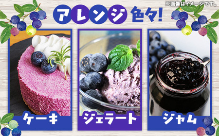 【訳あり】岩手町産冷凍ブルーベリー1kg フルーツ 果物 くだもの おやつ スイーツ デザート ジャム スムージー ヨーグルト お菓子作り 冷凍 訳あり 加工用 業務用 岩手県 岩手町 岩手缶詰