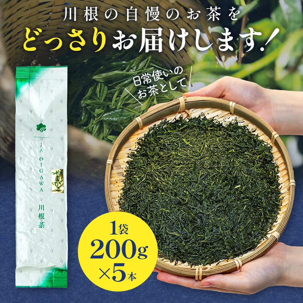 16-6 川根茶 どっさり ご家庭用飲み茶 1kgセット やまびこ　200ｇ袋×５本