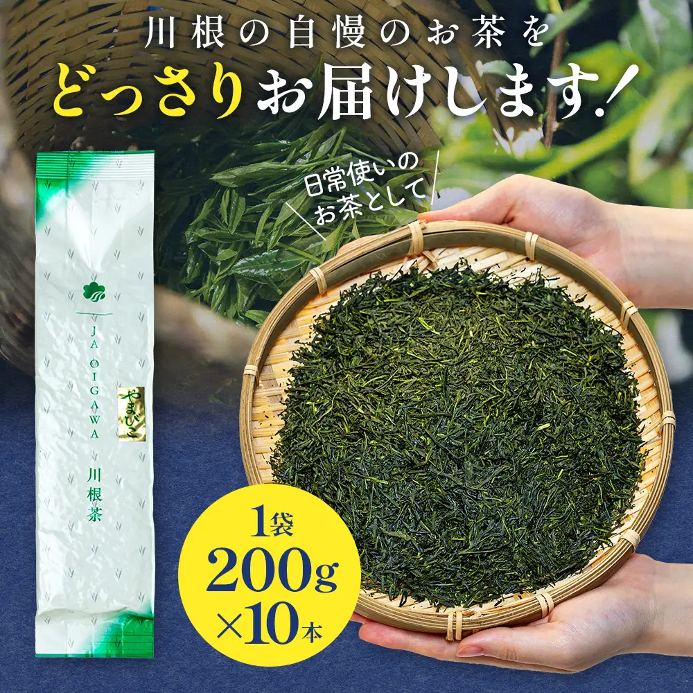 32-6 川根茶 どっさり ご家庭用飲み茶2kg セット やまびこ 200ｇ袋×10本