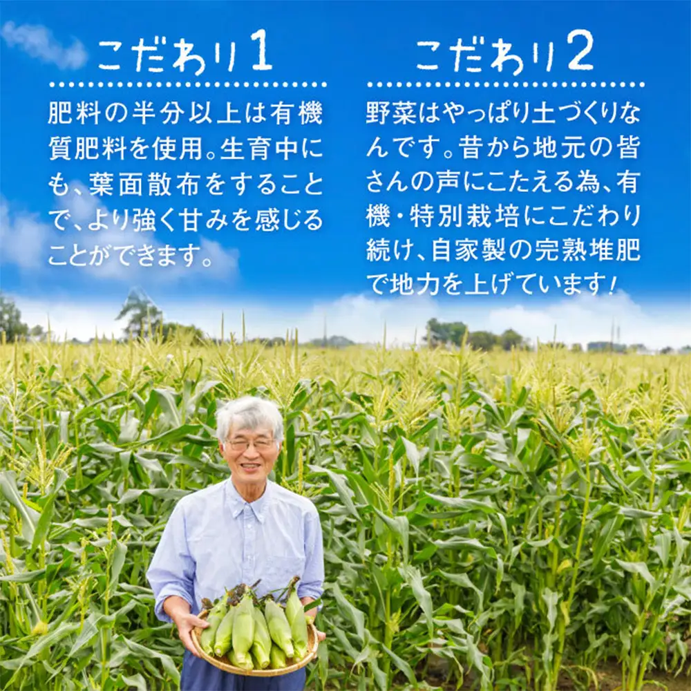 【北海道恵庭市産】朝どりスイートコーン×5本【31001601】