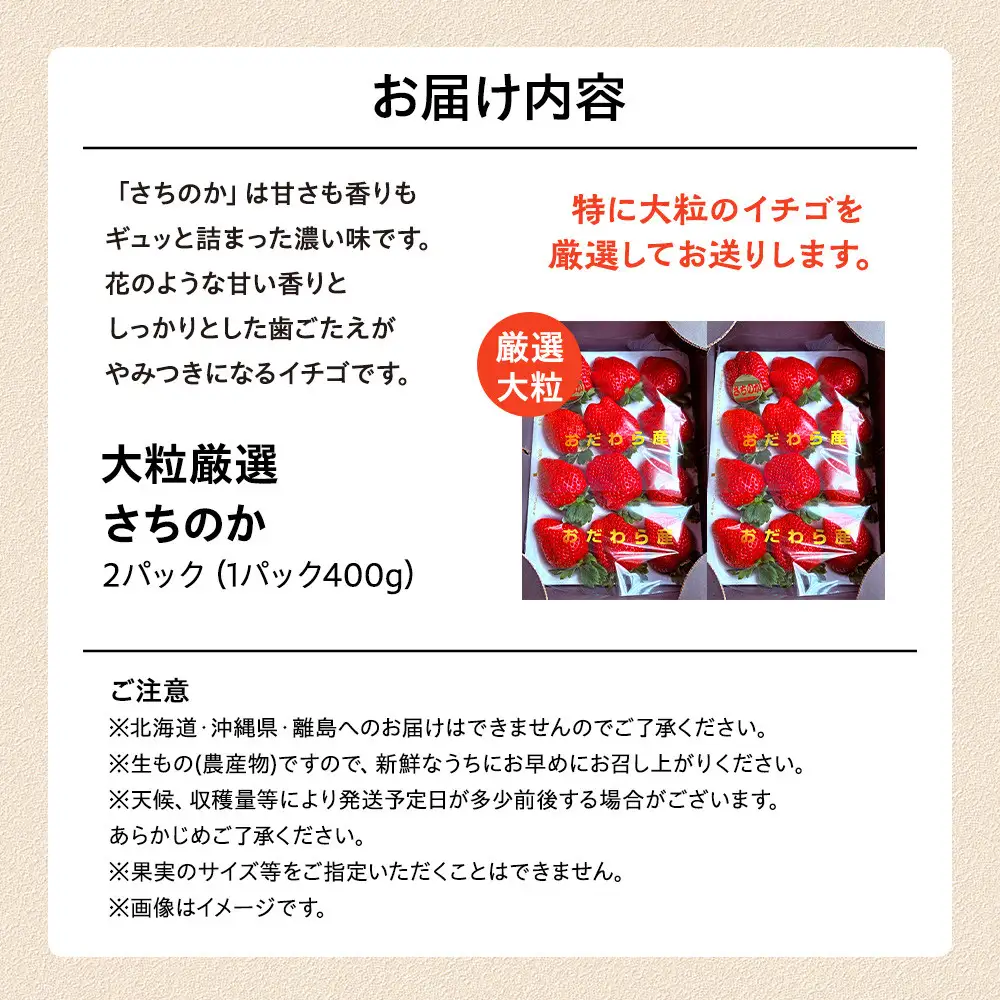 【期間限定・数量限定！】大粒厳選さちのか　希少いちご　神奈川県産　苺　２パック入り|  フルーツ 果物 神奈川県 小田原市