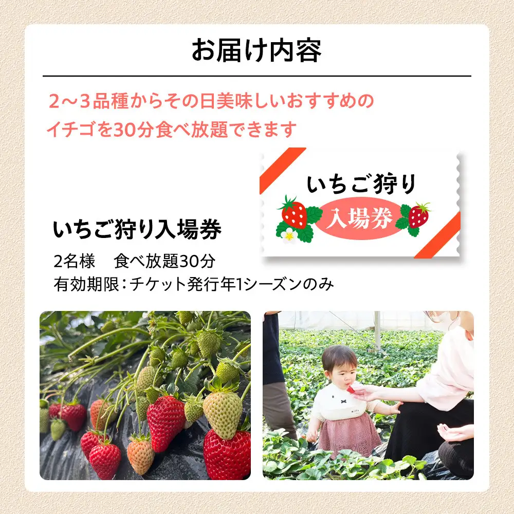 いちご狩り　入場券　2名様　食べ放題30分|  苺 イチゴ 体験 食べ放題 フルーツ 果物 神奈川県 小田原市