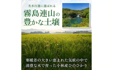【定期便 全6回】令和7年産米 ヒノヒカリ 5kg×6回 計30kg（お米 米 ひのひかり 国産 人気 お弁当 定期便 宮崎県 小林市）
