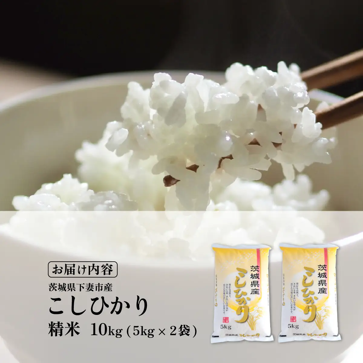コシヒカリ 10kg 令和7年産 コシヒカリ 精米