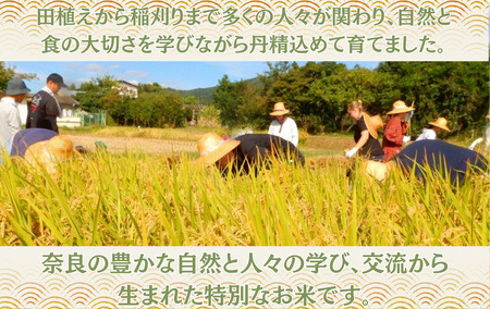 米 宿泊 「まなびの実り米」 令和7年度産 ５Kg付き宿泊プラン nvl-01