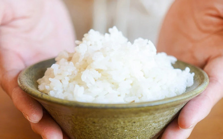 【令和8年産早期予約】お米定期便 丹波篠山産コシヒカリ〈 精米 10kg × 12回 〉計120kg お米定期便 [SUBSC-DP22]