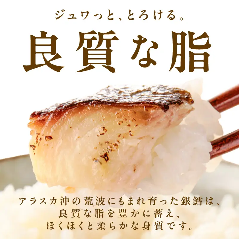 【規格外】銀鱈 西京漬け 切り落とし 2kg 訳あり