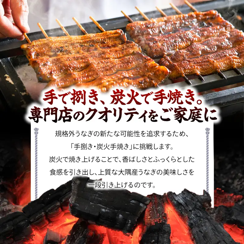 【 全12回 定期便 】 鰻 の 蒲焼 3尾（130g～180g×3） KN026-T07 うなぎ 惣菜 総菜 魚