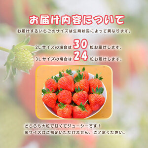 【先行予約 苺】 越後姫3L～2L 24粒 or 30粒  新発田市 苺 sugai002_02