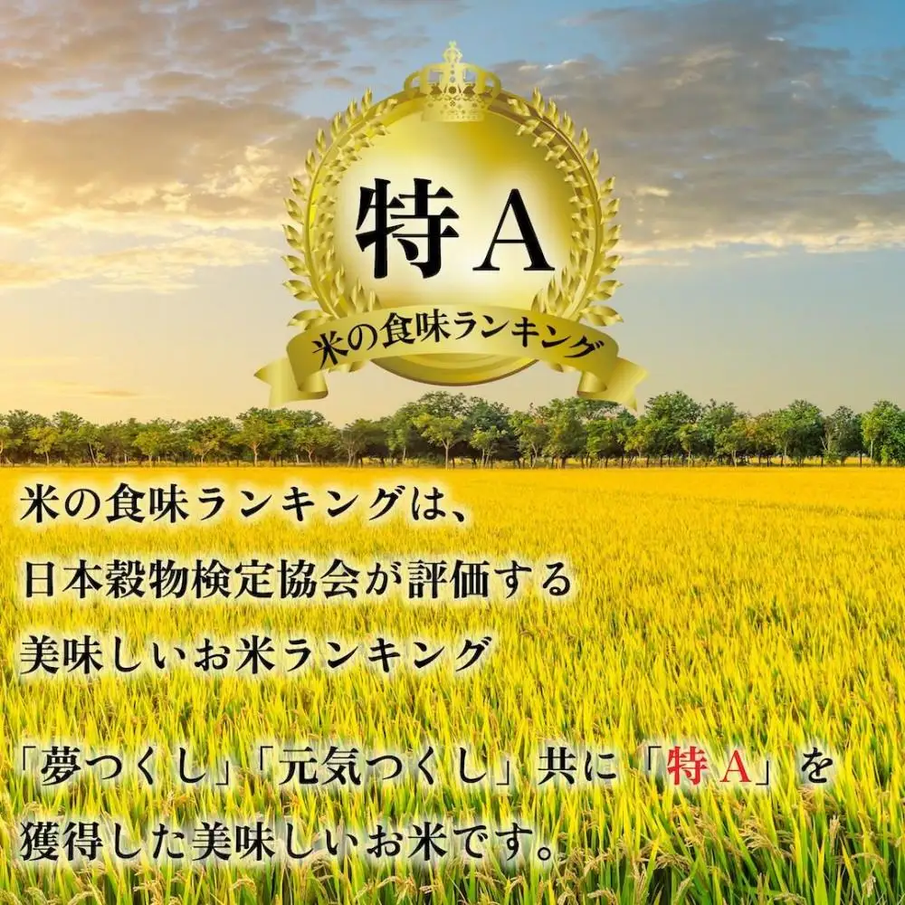 令和7年産 福岡県産米 食べ比べセット(夢つくし・元気つくし) 合計30kg (各5kg×3袋ずつ)