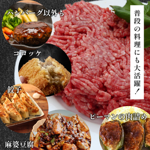 【人気レストラン特製】宮崎牛と豚肉の合い挽きミンチ 3kg（300g×10P）宮崎牛 黒毛和牛 牛肉 豚肉 ミンチ 合い挽き ハンバーグ 小分け 内閣総理大臣賞