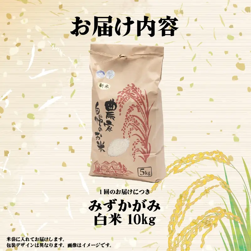 【先行予約】令和8年産 みずかがみ 10kg 定期便 6ヶ月 白米 米 