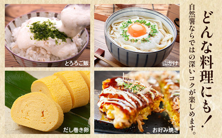 ＜自然薯 約1kg＞ 野菜 やさい 山芋 長芋 いも とろろ じねんじょ 国産 愛媛県産 とろろご飯 とろろ汁 料理 ノムランド 愛媛県 西予市【常温】『2026年1月中旬～3月末迄に順次出荷予定』NNM0008