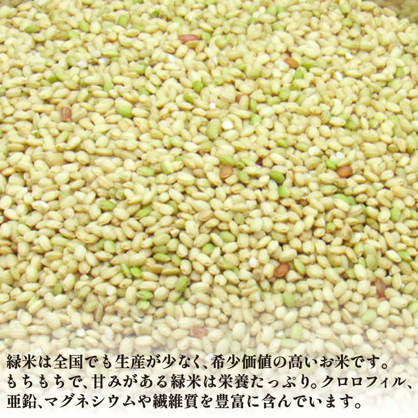 古代米セット 計3kg （黒米・赤米・緑米） [JDB126]