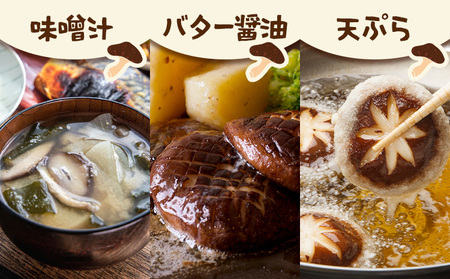 肉厚 菌床椎茸 1kg 《30日以内に発送予定(土日祝除く)》 プレジール・アオバ 徳島県 上板町 野菜 青果物 きのこ シイタケ 椎茸