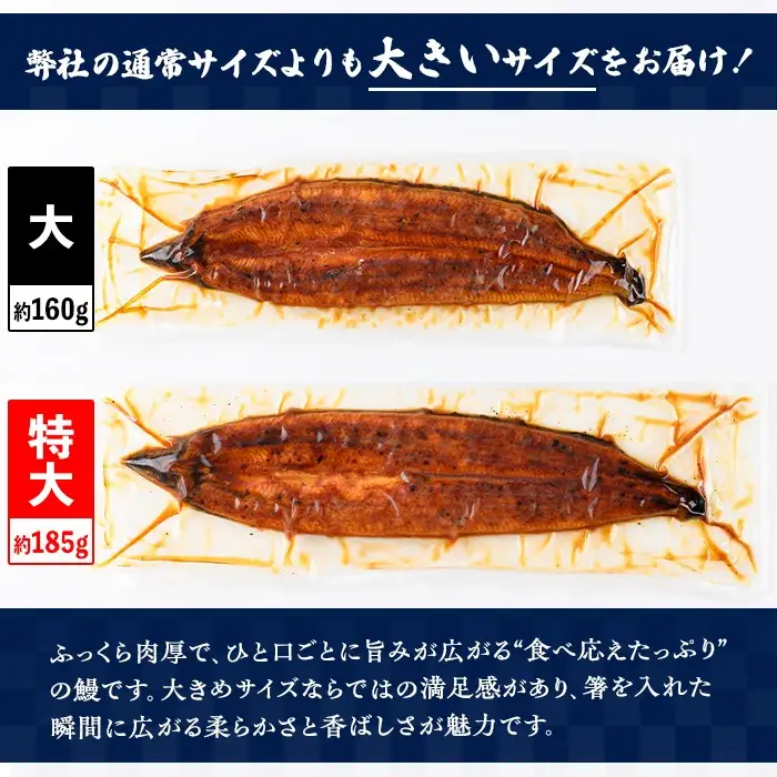 【B57005】特大うなぎ 蒲焼 有頭 (2尾 計370g以上 タレ・山椒付) 鹿児島 国産 大隅産 鰻【一般社団法人きもつき宇宙協議会】