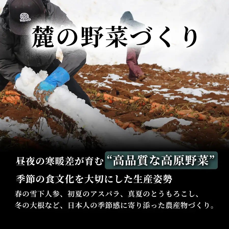 雪下にんじんジュース 200ml（20本1箱）定期便・全2回 | 津南町 にんじん