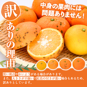 ＜先行予約受付中！2027年2月上旬以降順次発送予定＞訳あり 紅さわ香(約20kg) 国産 鹿児島県 阿久根市 果実 果物 フルーツ 柑橘 みかん ミカン 紅甘夏 期間限定 数量限定 【桐野柑橘株式会社】akn070-19
