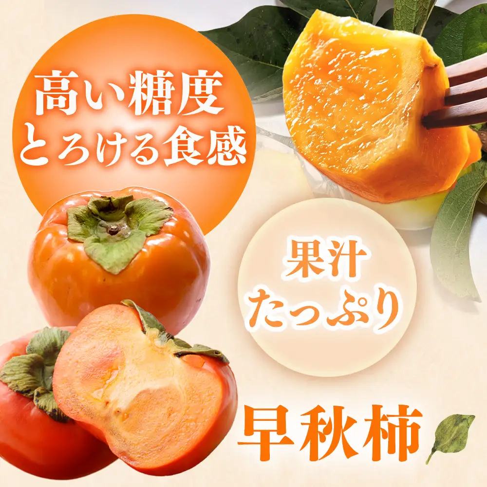 【先行予約】こだわり栽培ポット柿（早秋柿） 2Lサイズ12個入り ※離島への配送不可  ※2026年10月中旬～11月上旬頃に順次発送予定
