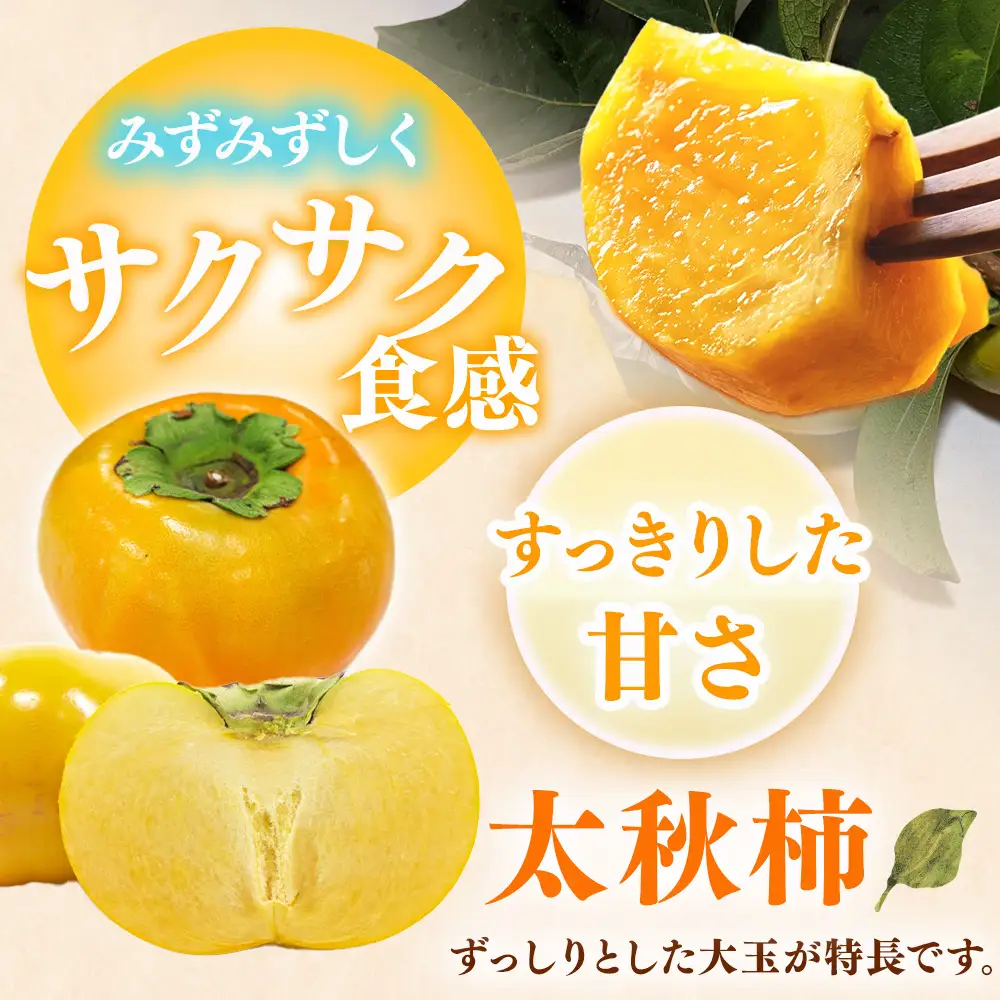 【先行予約】こだわり栽培ポット柿（太秋柿） 2Lサイズ12個入り ※離島への配送不可  ※2026年10月中旬～11月上旬頃に順次発送予定