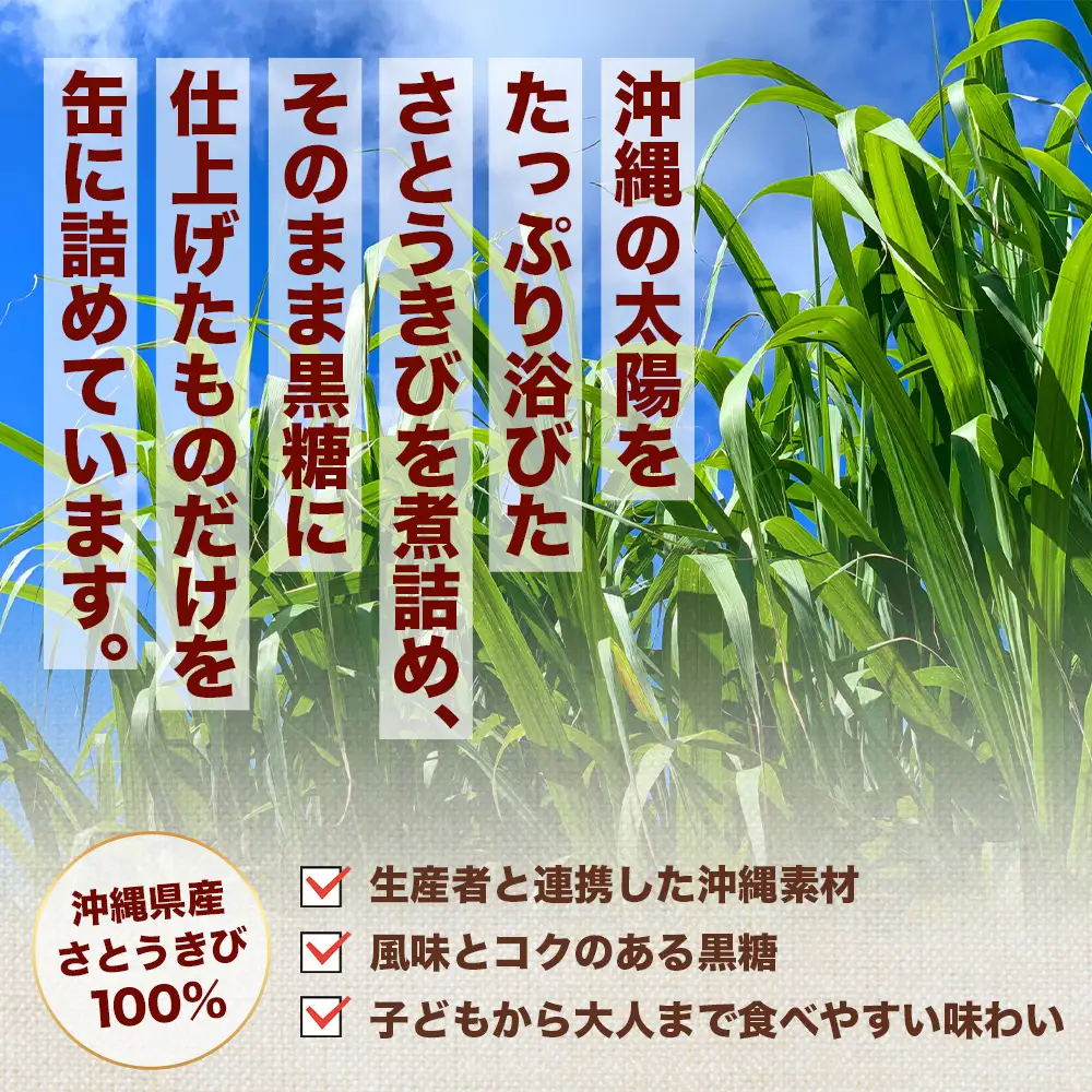 【沖縄黒糖100%】おきなわ防災黒糖缶 130g×3缶 3年保存 長期保存 非常食 備蓄食料 災害 防災 緊急時 完全無添加 ミネラル補給 | 沖縄 与那国 黒砂糖 純黒糖 OV-2