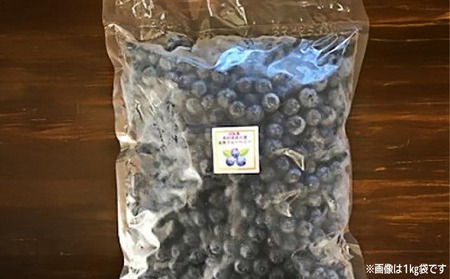 【生食に最適／冷凍】淡路島　馬回集落の大粒ブルーベリー 500g