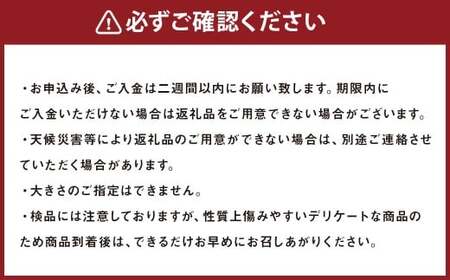 九重産 3L以上 梨 約3kg 梨( 二十世紀 あきづき 王秋 新高 豊水 甘太 のうちいずれか一種類) 【2026年9月上旬から10月上旬発送予定】