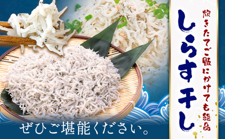 しらす干し 大津港水揚げ しらす 1kg (茨城県共通返礼品：北茨城市) 川崎水産有限会社 《30日以内に出荷予定(土日祝除く)》しらす干 減塩 茨城県 河内町 【配送不可地域あり】（沖縄・離島）