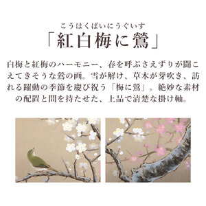 掛け軸「紅白梅に鶯」 北条静香 尺五立 サイズ：54.5×190cm 桐箱付 掛け軸 和室 おしゃれ 日本画 表装 床の間