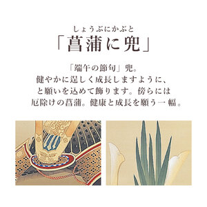 掛け軸「菖蒲に兜」 富岡蘇峰 尺五立 サイズ：54.5×190cm 桐箱付 掛け軸 和室 おしゃれ 日本画 表装 床の間