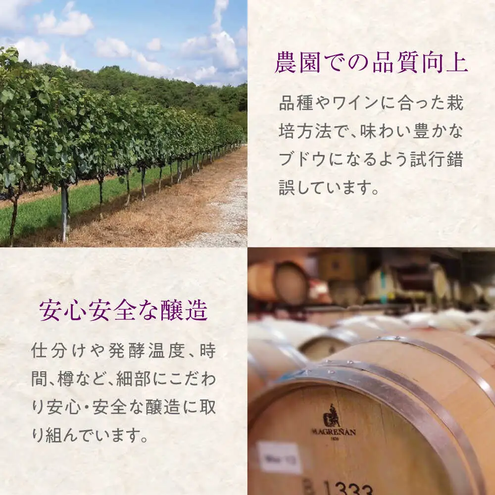 VILLAQUA -イエロー- 750ml×3本 [APAZ150] ワイン