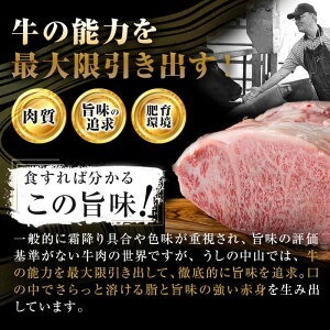 塊肉シリーズ カイノミ 計1kg(1kg×1個) h35-001