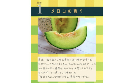 やるJAん横浜メロンサワー 350ml×24本 ARM0001