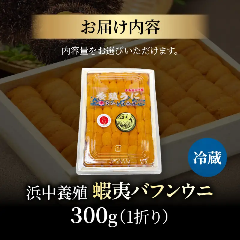 ≪浜中養殖≫蝦夷バフンウニ(300g)折箱入り　300g×一折り_H0038-106
