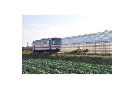 紀州鉄道ワイン（赤）、お守りキーホルダー【0066-1】