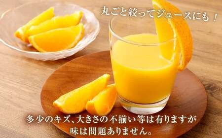 【訳あり】 ご家庭用 濃厚不知火 10～20玉 （ 約4kg ） デコポン みかん 柑橘 果物 フルーツ 熊本 【2027年2月下旬-3月上旬発送予定】